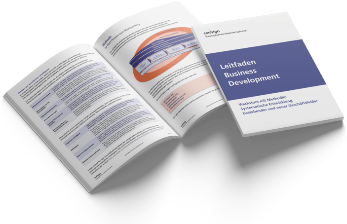 Mockup des Leitfadens Business Development mit Titelseite und aufgeschlagenem Leitfaden