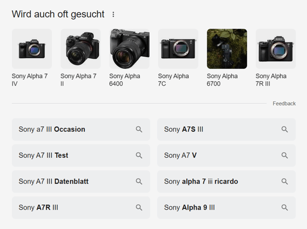 Google-Funktion "Wird auch oft gesucht" als Beispiel mit Kameras